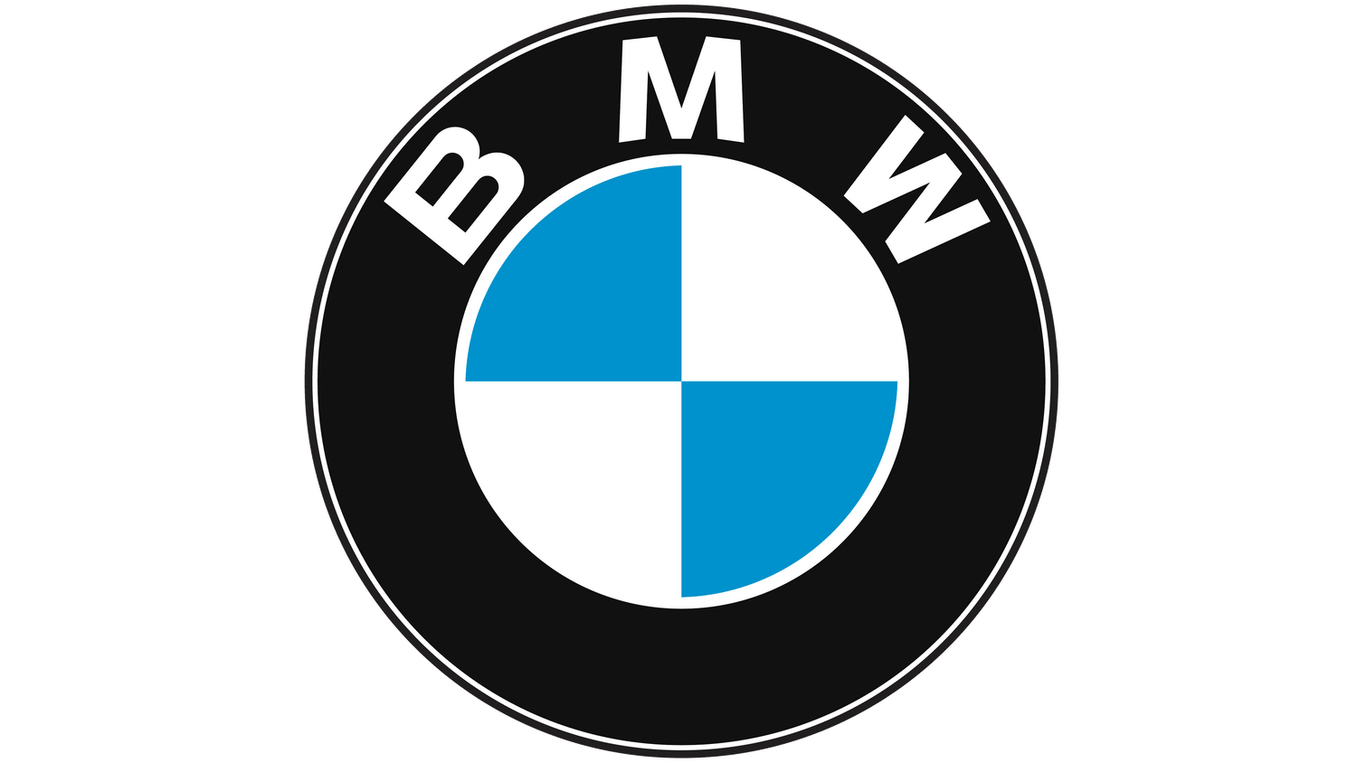 BMW ECU